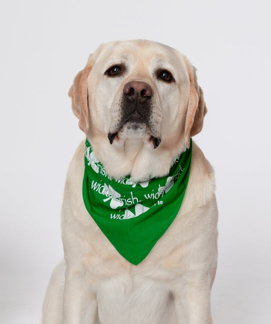 Wicked Irish Doggie Bandanas