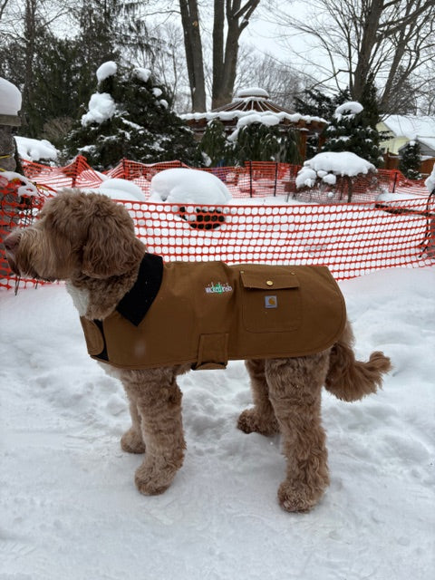 Wicked Irish Carhartt Dog Chore Coat