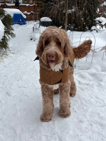 Wicked Irish Carhartt Dog Chore Coat