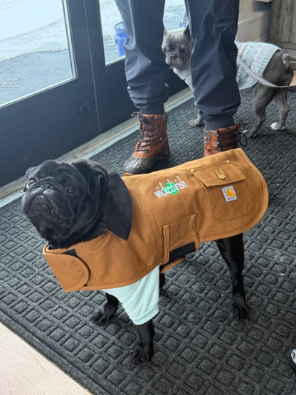 Wicked Irish Carhartt Dog Chore Coat
