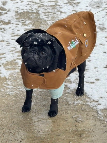 Wicked Irish Carhartt Dog Chore Coat